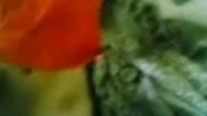 स्विंग पार्टी हिंदी फिल्म सेक्सी हिंदी जोरों पर